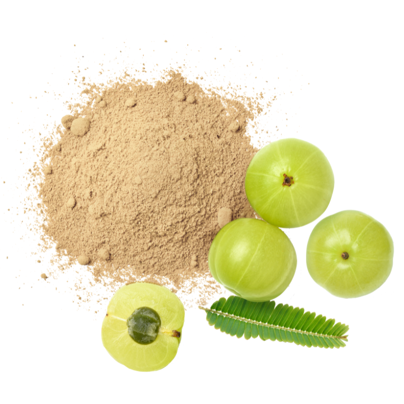 Amla Power| 200 gm